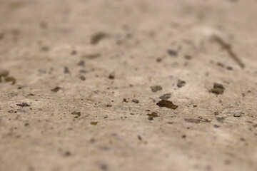 Close-up of a textured paper texture surface with small debris.