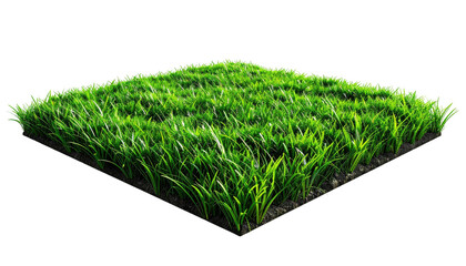 Square patch of vibrant, freshly cut, verdant green grass