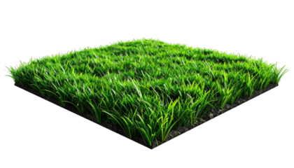 Square patch of vibrant, freshly cut, verdant green grass
