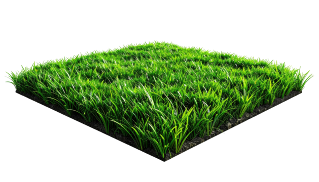 Square patch of vibrant, freshly cut, verdant green grass