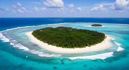 Obraz premium tropical beach with palm trees