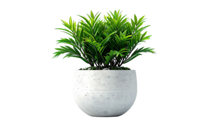 Potted green plant with pointed leaves and grey speckled pot