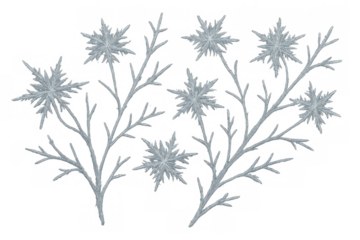 Frozen branches forming star-shaped ice crystals on a winter plant with an abstract cold nature theme