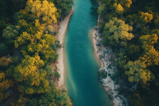 Nature, water, and flow of a river in a forest, symbolizing clean energy, sustainability, and environmental care. The tranquil image of a riverbed promotes eco-conscious living, Generative AI