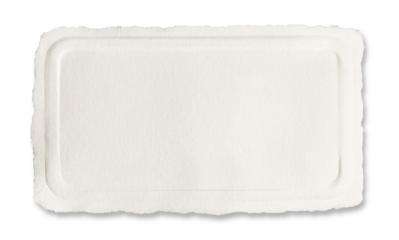 Horizontal rectangular piece light-colored textured cardboard with  rounded-corner border.  Material appears cream color giving vintage. edges paper irregularly torn and soft shadow with copy space