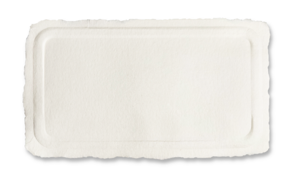 Horizontal rectangular piece light-colored textured cardboard with  rounded-corner border.  Material appears cream color giving vintage. edges paper irregularly torn and soft shadow with copy space