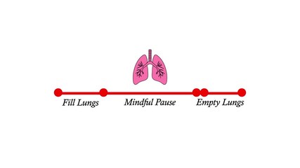 Breathing cycle animation showing Inhale Hold, short pause, and carbon dioxide exhalation with lungs illustration for medical, educational, and healthcare concepts.