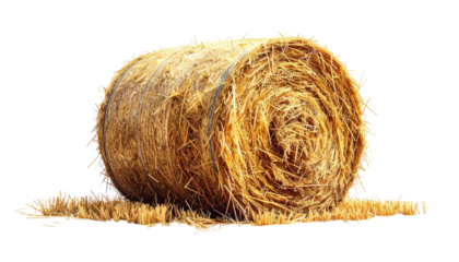Round hay bale; golden stack of drying straw