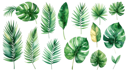 Varied green foliage of tropical leaves, watercolor illustrations