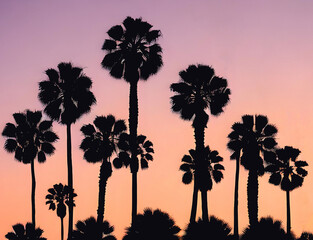 palm trees at sunset silhouettes, Ai generated
