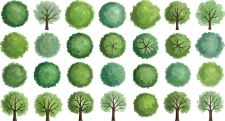 Ingelijste posters Pistachekleur Overhead Trees Vector Design   Various Tree Top Views for Landscape Architecture, Garden Design, and Urban Planning  © quetypy.com