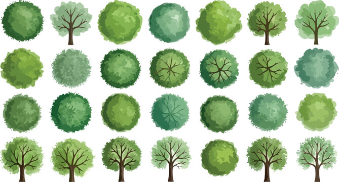 Overhead Trees Vector Design | Various Tree Top Views for Landscape Architecture, Garden Design, and Urban Planning