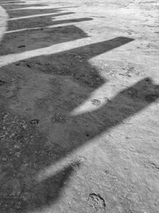 Dramatic shadows stretch across a textured concrete surface, creating a striking monochrome pattern...