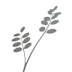 Branch illustration on black background isolated on transparent background