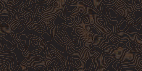 Fototapeta premium Elegant dark contour line pattern resembling topographic map design. Abstract wavy lines creating a modern, minimal texture. Perfect for backgrounds, wallpapers, or branding visuals.