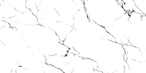 Abstract Black and White Marble Vein Texture Pattern.