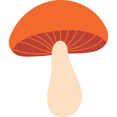 Illustration of an orange mushroom with a light tan stem set against a transparent background