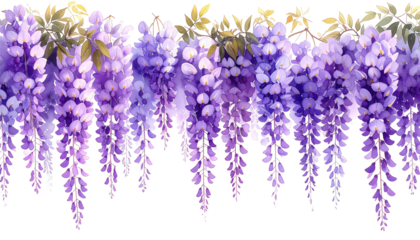 Hanging wisteria blooms in cascading, watercolor style
