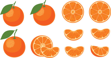 Orange fruit anatomy, whole and sliced citrus, juicy segments illustration, healthy food design, flat vector illustration, vitamin C concept