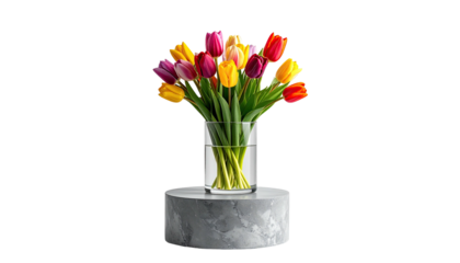 Colorful tulips in glass vase atop marble stand, black background