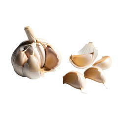 Fresh garlic bulb and cloves for culinary designs