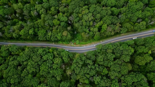 Vehicles Traveling - Mohawk Trail Scenic Road In Massachusetts, USA - Drone Shot