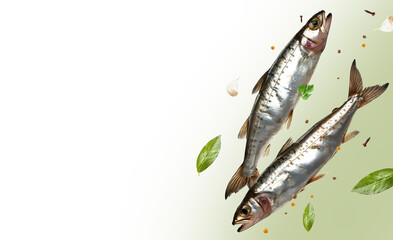 Mackerels with spices on a white background. A ready-made background for design.