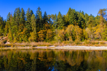 2025 10 15 Autumn Colors at Oxbow Regional Park - Gresham OR 002
