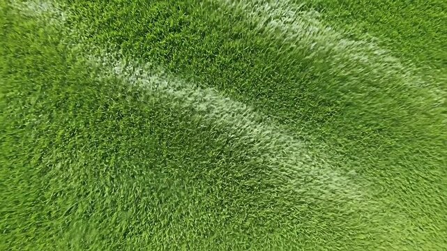 Aerial View of Lush Green Grass Field Texture.