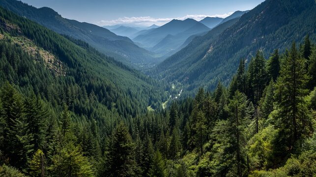 Majestic evergreen trees cascade down mountain valley slopes under a dreamy sky, perfect for nature lovers and outdoor adventure campaigns