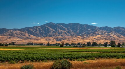 Fototapeta premium Summer Fields of Tehachapi: Vibrant Crops and Rolling Farmland Set Against the California Mountains