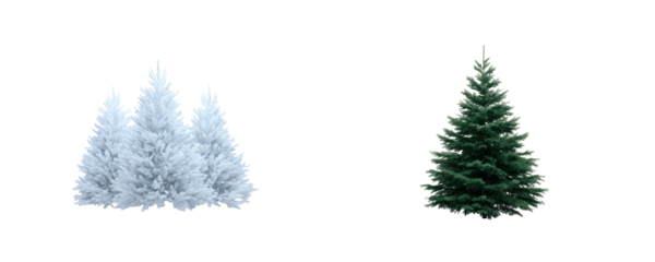 Christmas berry decoration sparkle with holly trim and magical festive cheer in colourful glow with festivity, writing, blackboard