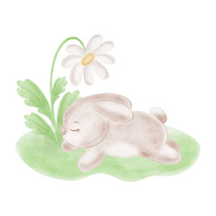 Cute little bunny with daisy flower sleeping on lawn. Watercolor rabbit with chamomile illustration for Easter card. Hand-drawn isolated hare, character for baby shower design. Clip art funny animal.