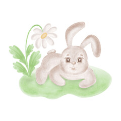 Cute little bunny with daisy flower on lawn. Watercolor rabbit with chamomile illustration for Easter card. Hand-drawn isolated hare, smiling character for baby shower design. Clip art funny animal.