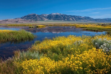 Naklejka premium Scenic Marshlands and Wildflowers at Ruby Lake in Northern Nevada: A Vibrant Landscape of Yellow Blooms Against Majestic Mountains