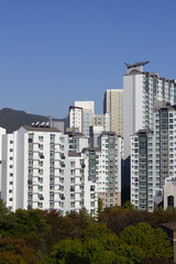 Fototapeta premium This is an apartment building in downtown Seoul.