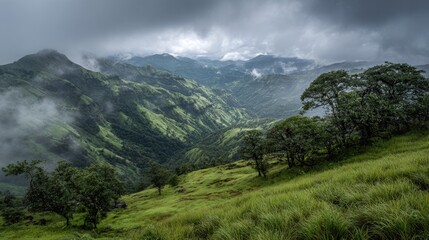 Fototapeta premium Rolling green hills stretch into the distance shrouded in mist and clouds creating a peaceful scene.