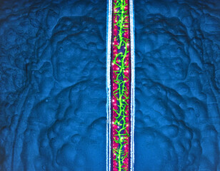 Abstract DNA Strand or Microscopic Biological Structure