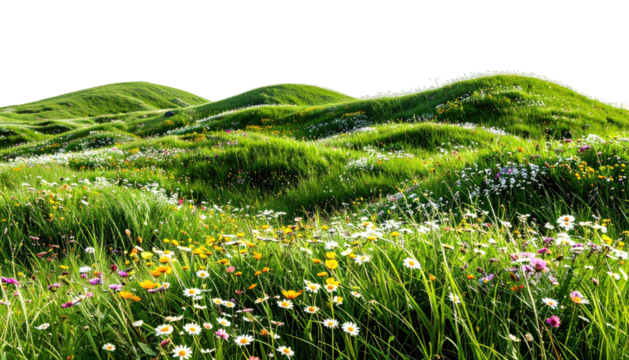 Rolling green hills dappled with wildflowers under a dark sky