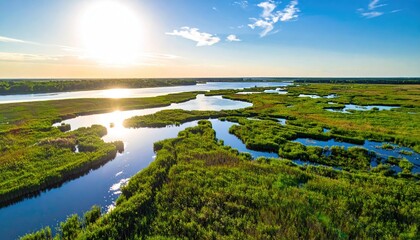 Aerial View of a Winding River Through Lush Green Marshland at Golden Hour with Bright Sun and Blue Sky