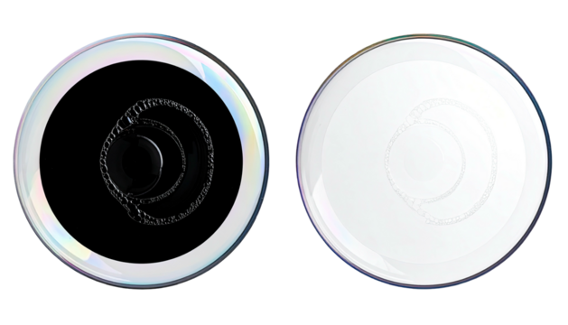 Two discs one dark abstract, one white, similar concentric forms