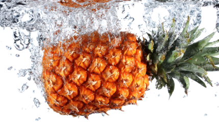 Pine material splashes into water within pines pine debris falls into liquid causing ripples in a pine setting