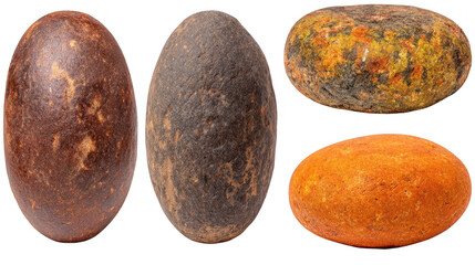 Fototapeta premium Diverse collection of five distinct egg types group of five different eggs each with unique features