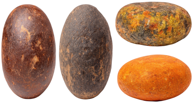 Diverse collection of five distinct egg types group of five different eggs each with unique features