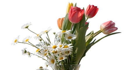 Obraz premium Fresh Spring Bouquet of Daisies and Tulips 