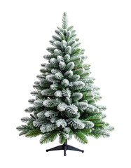 Fototapeta premium Blank snow dusted artificial fir tree mockup with light frosted tips and no decorations, isolated on transparent background, PNG