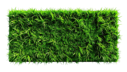 Lush rectangle of dense, vibrant green grass atop black