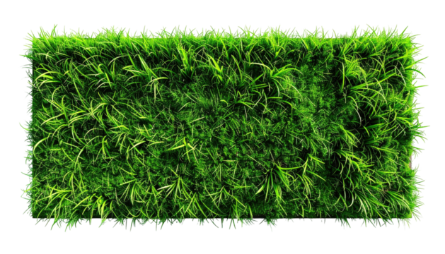 Lush rectangle of dense, vibrant green grass atop black