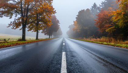 Fototapeta premium Journey into autumn mist along a wet, tree-lined road, a serene path inviting exploration and reflection amidst vibrant fall colors.