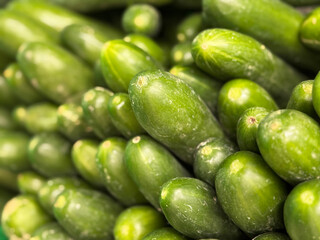 Close-up, high-angle view of a fresh pile of green cucumbers. Textured, vibrant cucumbers fill the frame, with sharp foreground details and a blurred background, suggesting abundance and freshness.